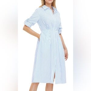 Exlura Blue Striped Shirt Dress size M NWT Midi Dress